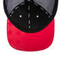 USA Flag Tour Snapback Mesh
