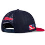 USA Flag Tour Snapback Mesh