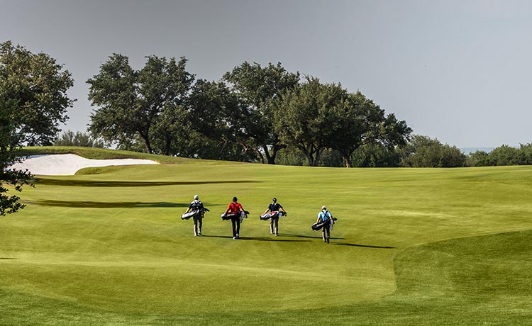 Titleist Carry Golf Bags