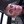 Jim M